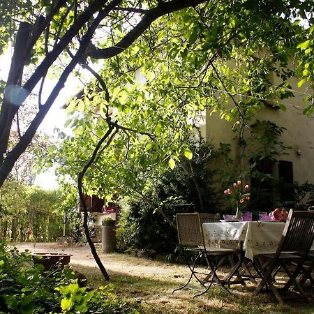 Tu Casa De Campo En جاكا المظهر الخارجي الصورة