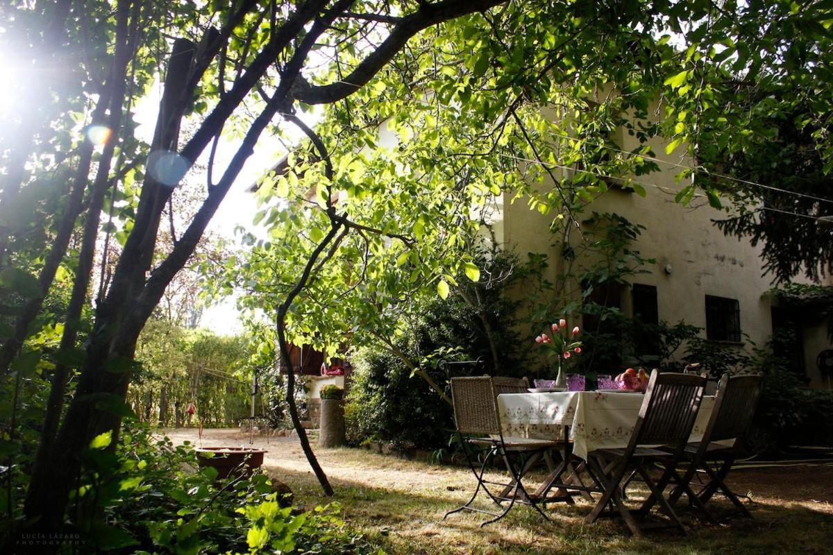Tu Casa De Campo En جاكا المظهر الخارجي الصورة